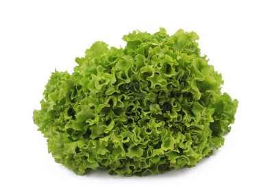 Салат романо 1 кг - купить в Журавском